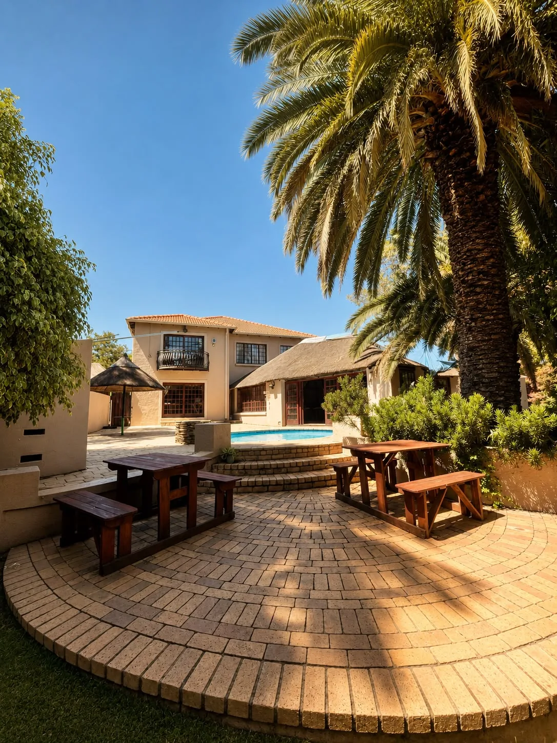 Courtyard patio and palm trees at The Mustard Seed